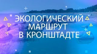 «Мой старт»: экологический маршрут в Кронштадте