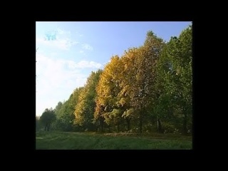 Осень. Октябрь. Золотая осень