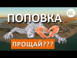 Поповка. СТРОЯТ ЗАВОД на пляже на косе где был КАЗАНТИП! Крым новости сегодня! Капитан Крым
