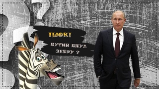 Шок! Путин пнул зебру / Три способа думать.
