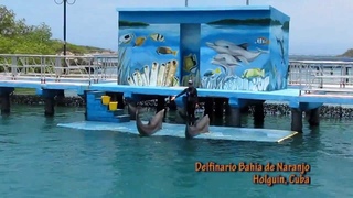 Delfinario Bahia de Naranjo, Holguin, Cuba (2013)