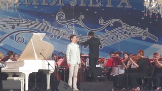 Фестиваль “ Симфония лета “ (  г. )