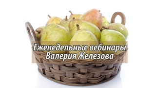 Вебинар №45 Садоводство глазами Валерия Железова.
