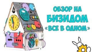 Обзор на бизидом “Все в одном“