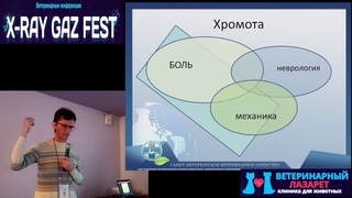Ортопедическое обследование. Часть 1