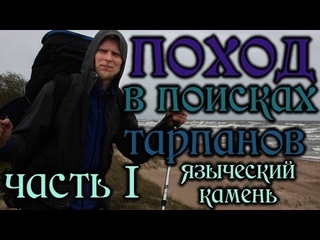 ПОХОД в поисках диких лошадей ТАРПАНОВ: ЯЗЫЧЕСКИЙ КАМЕНЬ 1 часть