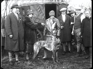 The Greyhounds Derby (1927)