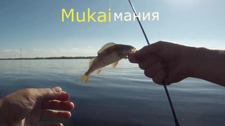 Мормышинг на спиннинг Окунь Уклейка Плотва  Mukai as 1632
