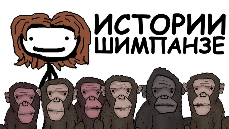 РЕАЛЬНЫЕ ИСТОРИИ ПРО ШИМПАНЗЕ, АКАДЕМИЯ СЭМА ОНЭЛЛА,
