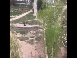 Спецоперация полиции Зачистка детской площадки. Дети разбегаются с криками Полиция! Полиция!!!