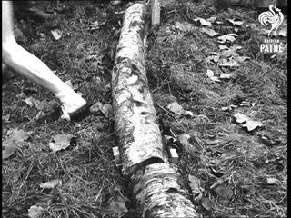 Cyclo-Cross (1969)