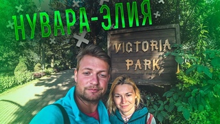 Что посмотреть в НУВАРА ЭЛИЯ на Шри Ланке Еда на Шри-Ланке
