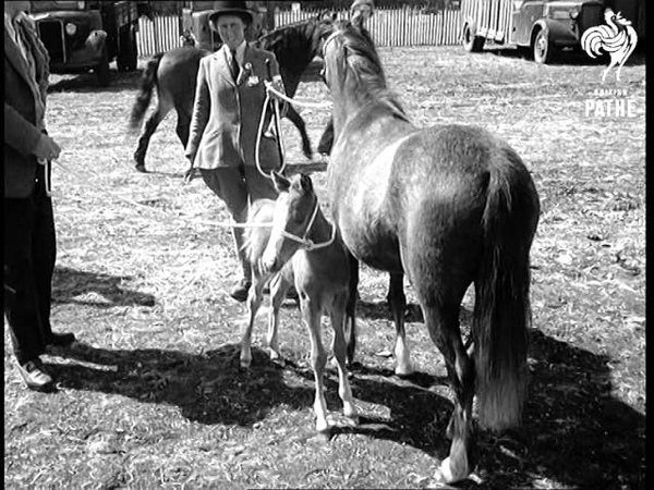 Royal Windsor Horse Show Beware, Another Stories With Same Tittle