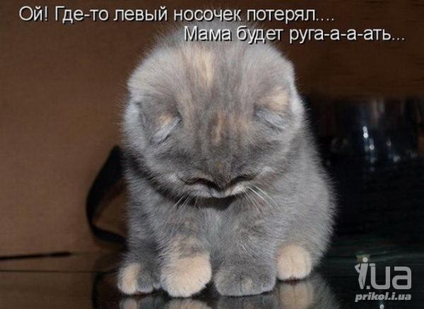 №20, Дарина Гамалей, Киев №20, Дарина Гамалей, Киев