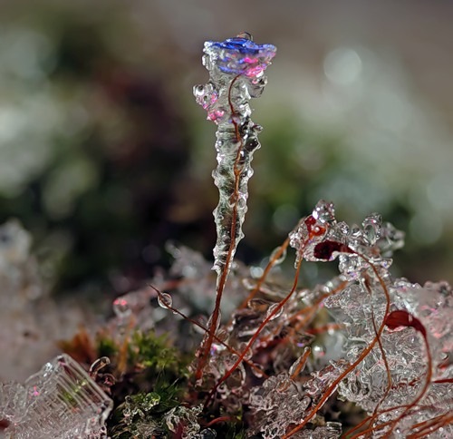 №61, Елена Ковалева, Архангельск №61, Елена Ковалева, Архангельск