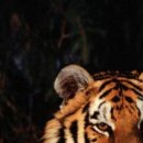 №76, Оксана Юрьевна №76, Оксана Юрьевна