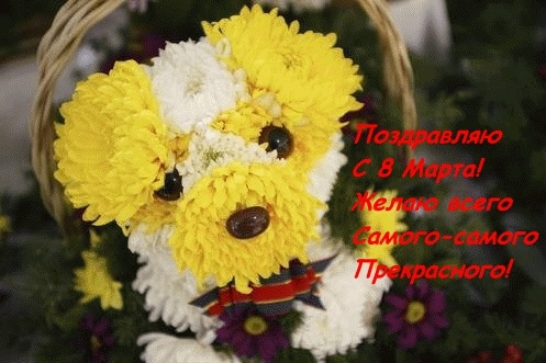 №64, Александр Величко, 39 лет, Екатеринбург №64, Александр Величко, 39 лет, Екатеринбург