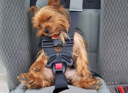 №117, Даша Атмаджа, 27 лет, Алматы №117, Даша Атмаджа, 27 лет, Алматы