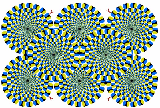 №78, Violetta Davydova, Харьков №78, Violetta Davydova, Харьков