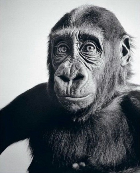 №19, Александр Поселёнов №19, Александр Поселёнов