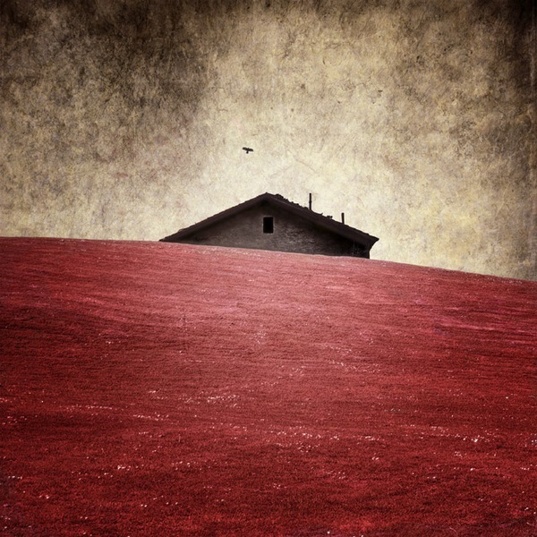 №87, Игорь Якушко, 43 года, Киев №87, Игорь Якушко, 43 года, Киев