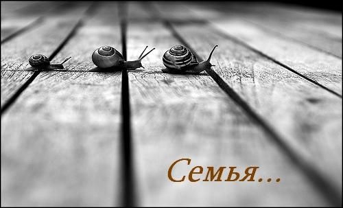 №6, Екатерина Серебрякова, 37 лет, Иркутск №6, Екатерина Серебрякова, 37 лет, Иркутск