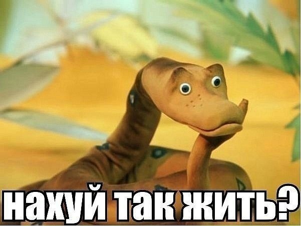 Бодя Сич | Львов