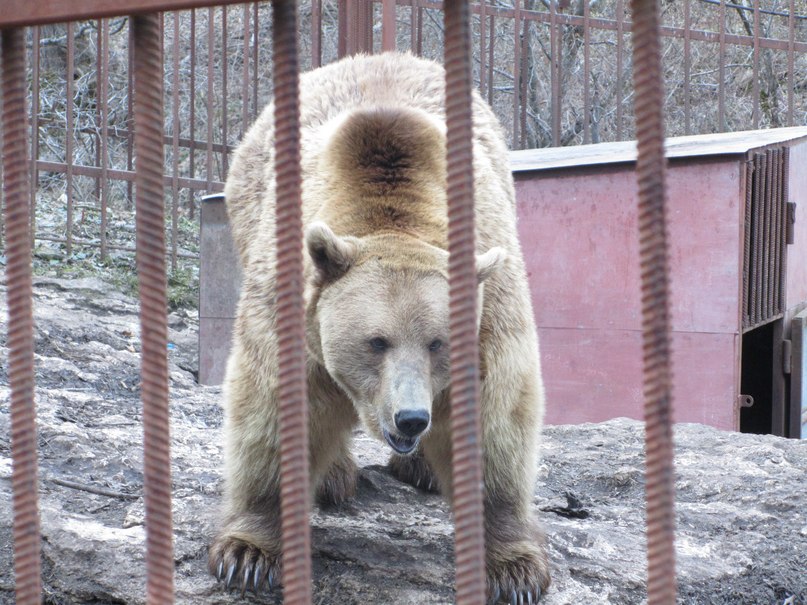 Наталья Бондаренко | Староминская