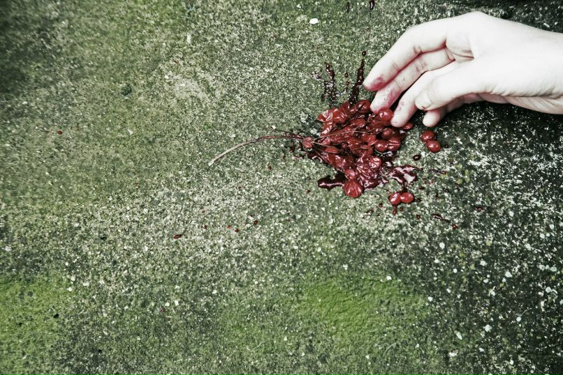 Natalisa Nya | Москва