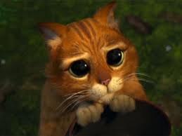 Zenooo Mak | Гомель