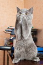 №9 Инна Феоктистова 09.10.1977: профиль, фото, статус - ВКонтакте