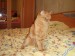 Алёна Лутова фотография #24