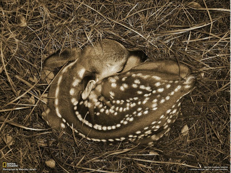 Ольга Маслихина | Москва