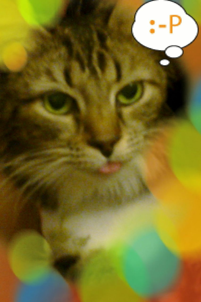 Дарья Алексанян | Москва