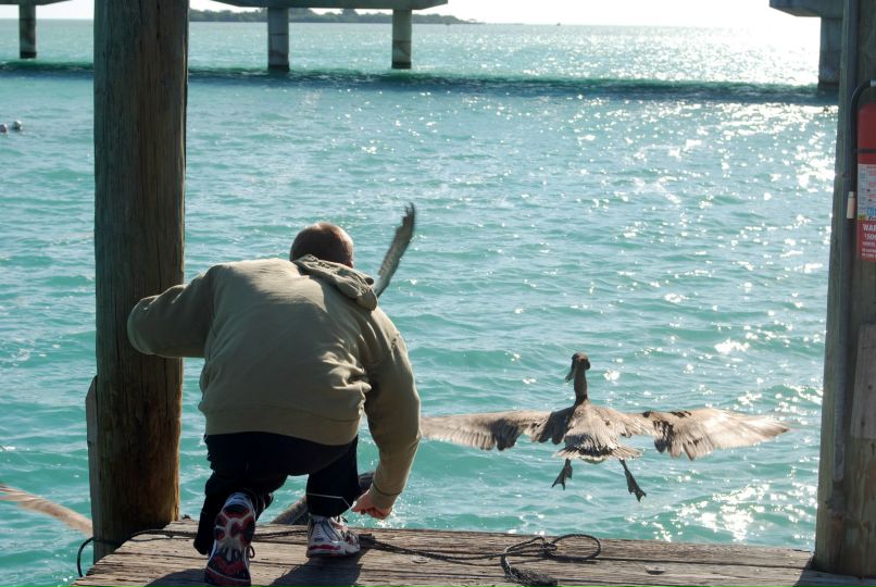 Михаил Емельянов | Las Vegas