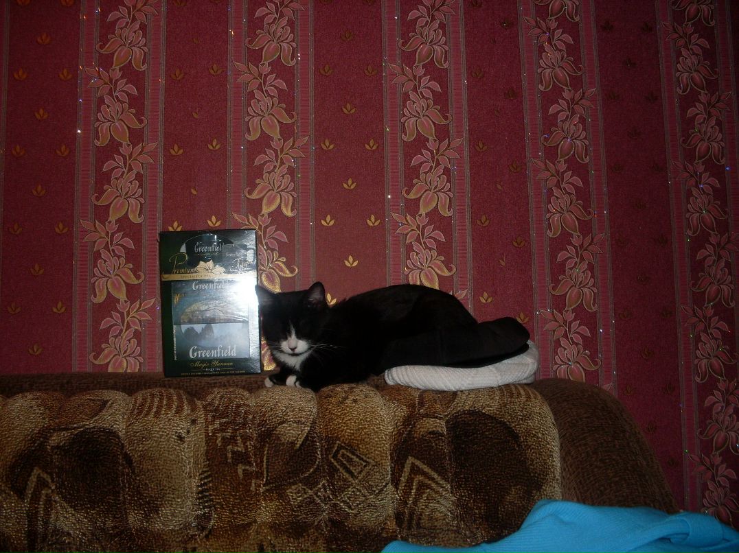 Вадим Прохоренко | Санкт-Петербург