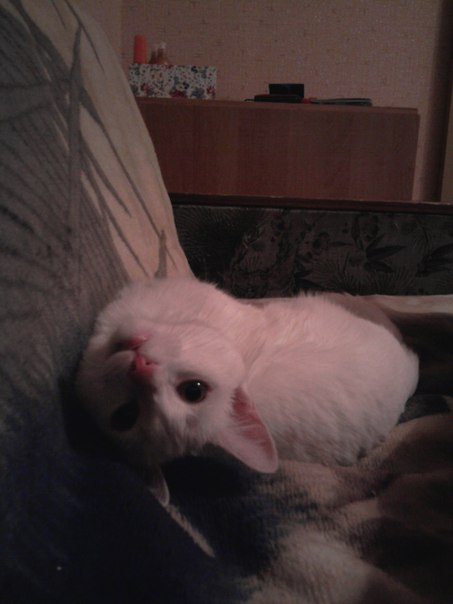 №69, Евгений Семенов, Прокопьевск №69, Евгений Семенов, Прокопьевск