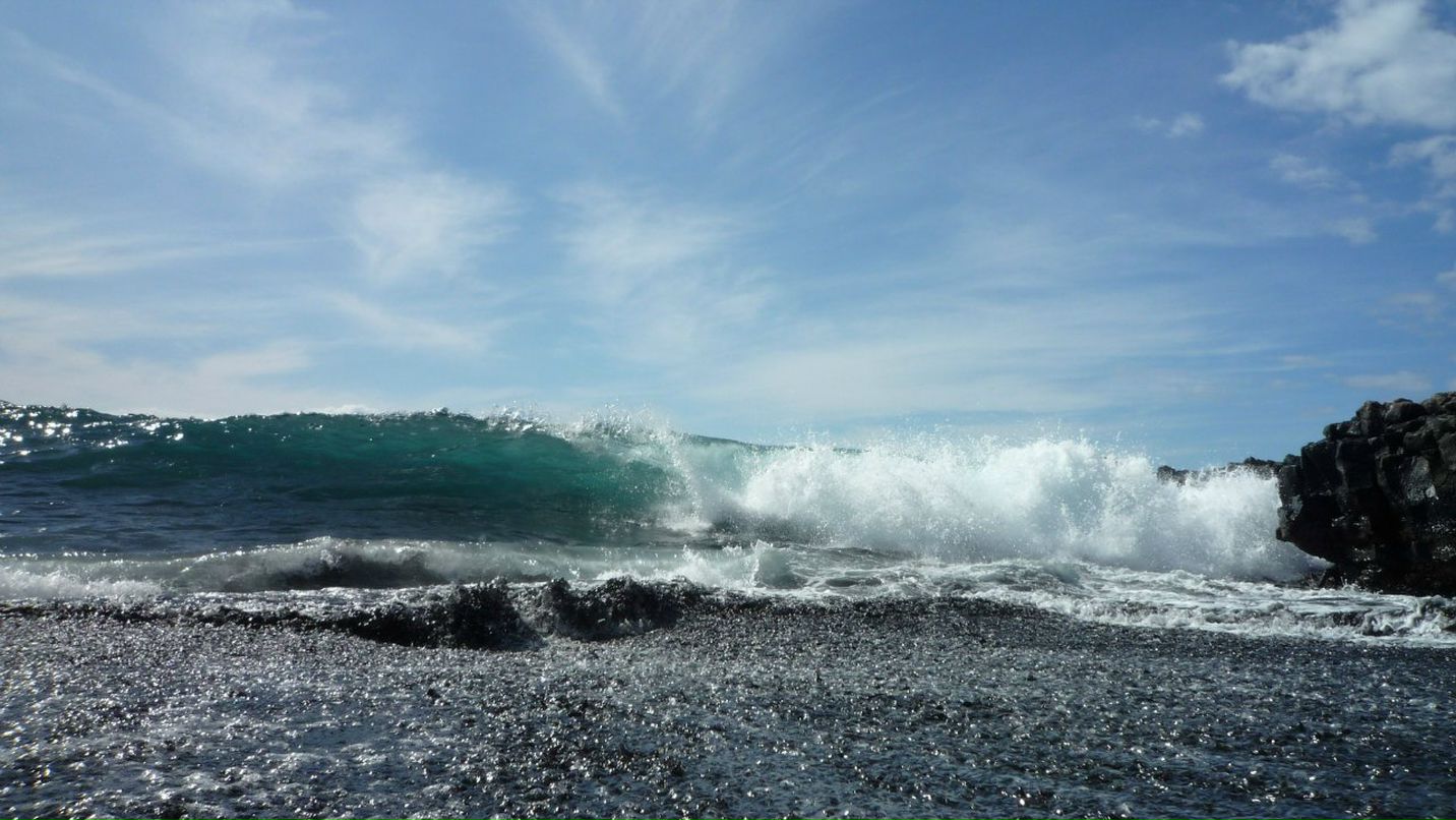 Илья Нестеренко | Санкт-Петербург