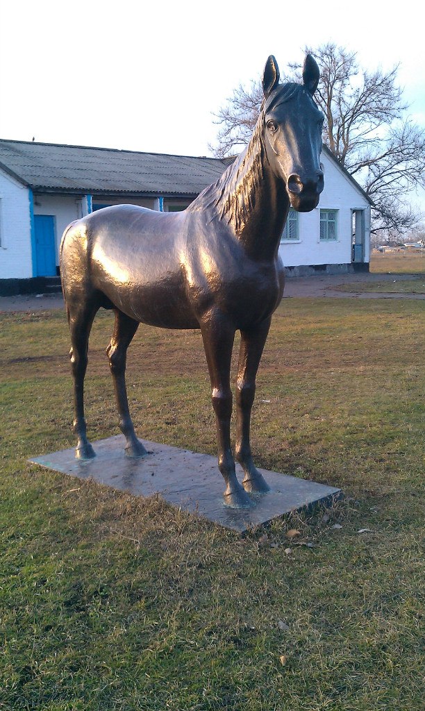 Лёня Альшевский | Благовещенск