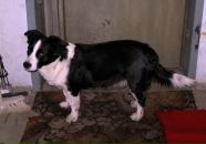 №21 Алена Шуткина : профиль, фото, статус - ВКонтакте №21 Алена Шуткина : профиль, фото, статус - ВКонтакте