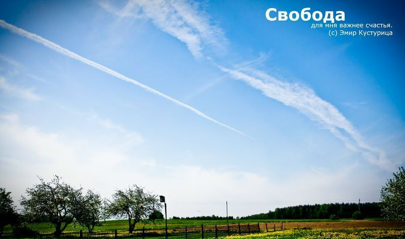 №36, Алена Паламарчук, Киев №36, Алена Паламарчук, Киев