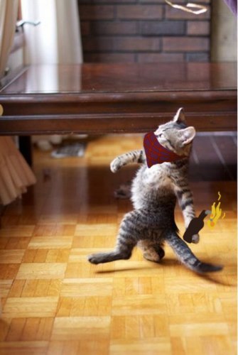 Вредина Гадина | Warszawa