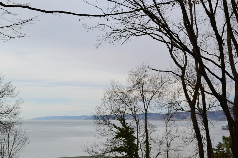 Оксана Есипко | 