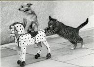 Наталья Карпова | Санкт-Петербург