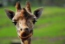 №17 Мария Евлухина 25.09.1979: профиль, фото, статус - ВКонтакте