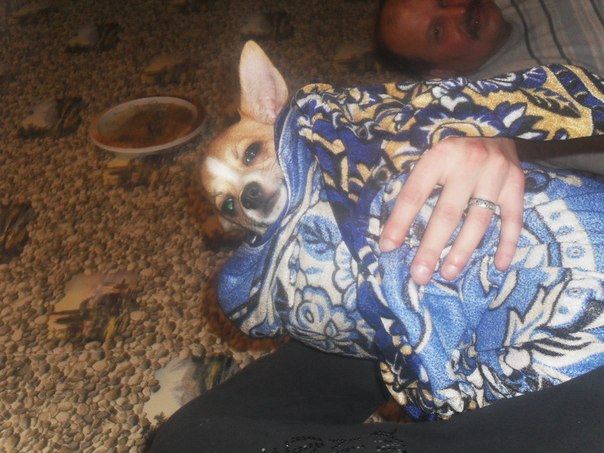 №97, Роза Хапилова, 24.12.1981 №97, Роза Хапилова, 24.12.1981