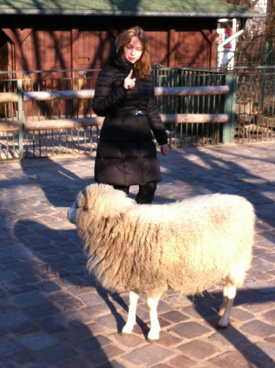 Дария Волынская | 