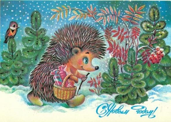 №153, Евгения Жаркова, 41 год, Воронеж №153, Евгения Жаркова, 41 год, Воронеж