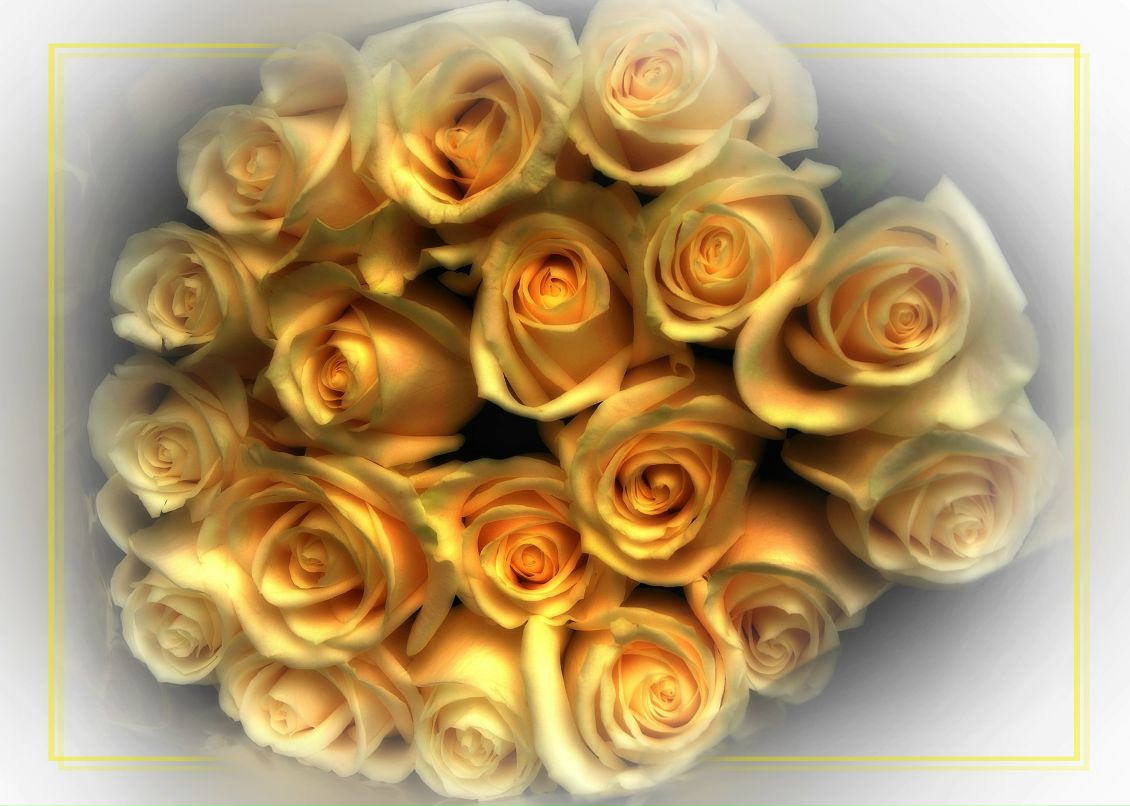 Анна Видинеева | Тверь