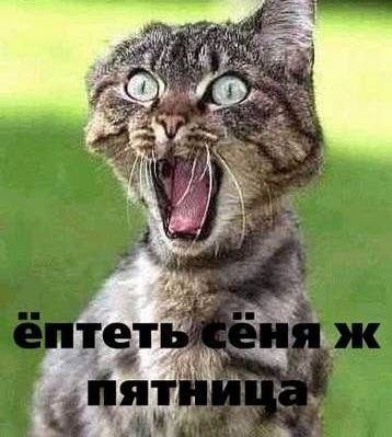 Сергей Иванов | 